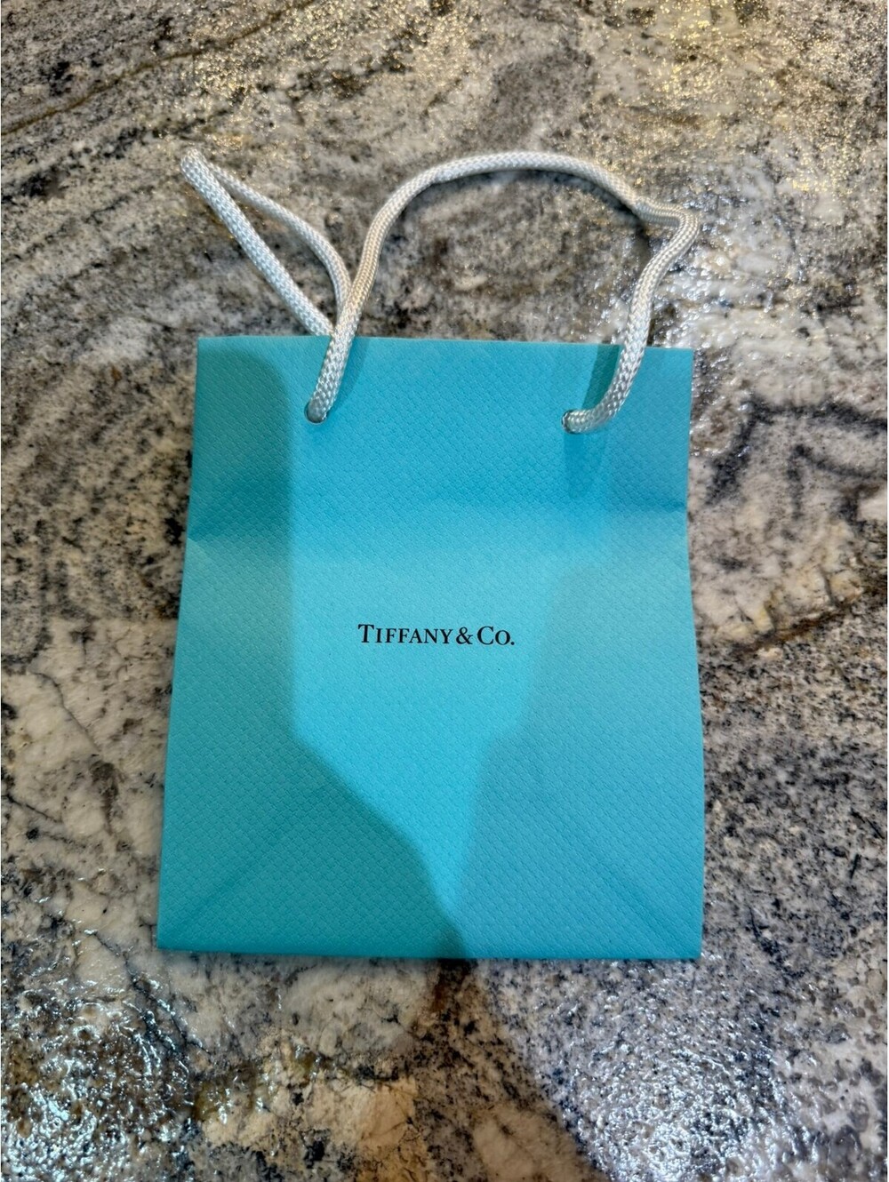 Tiffany & Co. Small Blue Gift Bag with White Rope Handles